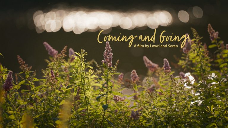 Comings and Goings Still_11